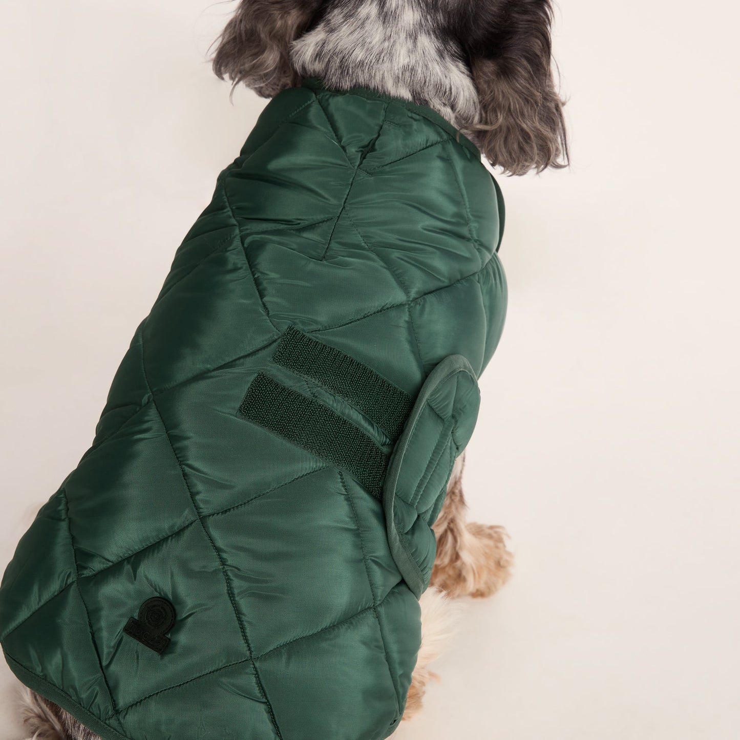 Fido Padded Dog Coat M - Racing Green