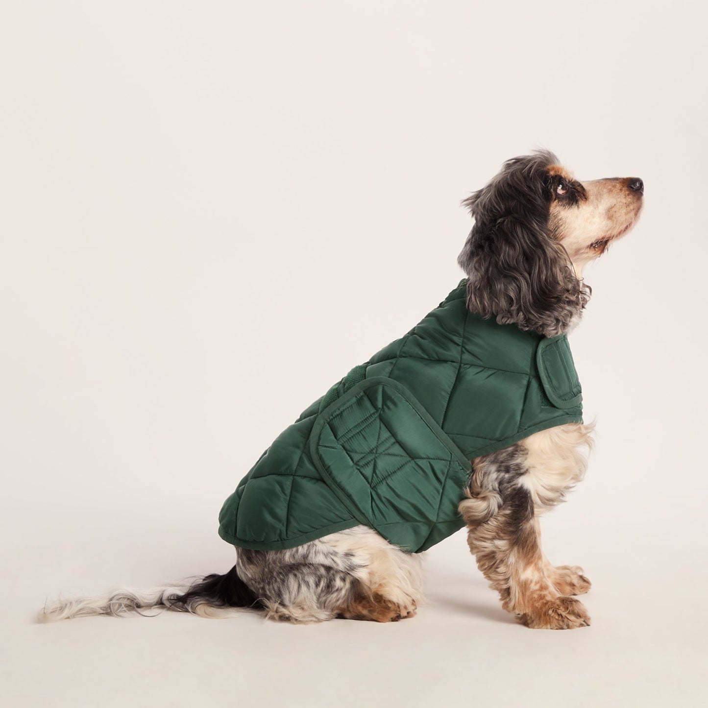 Fido Padded Dog Coat M - Racing Green