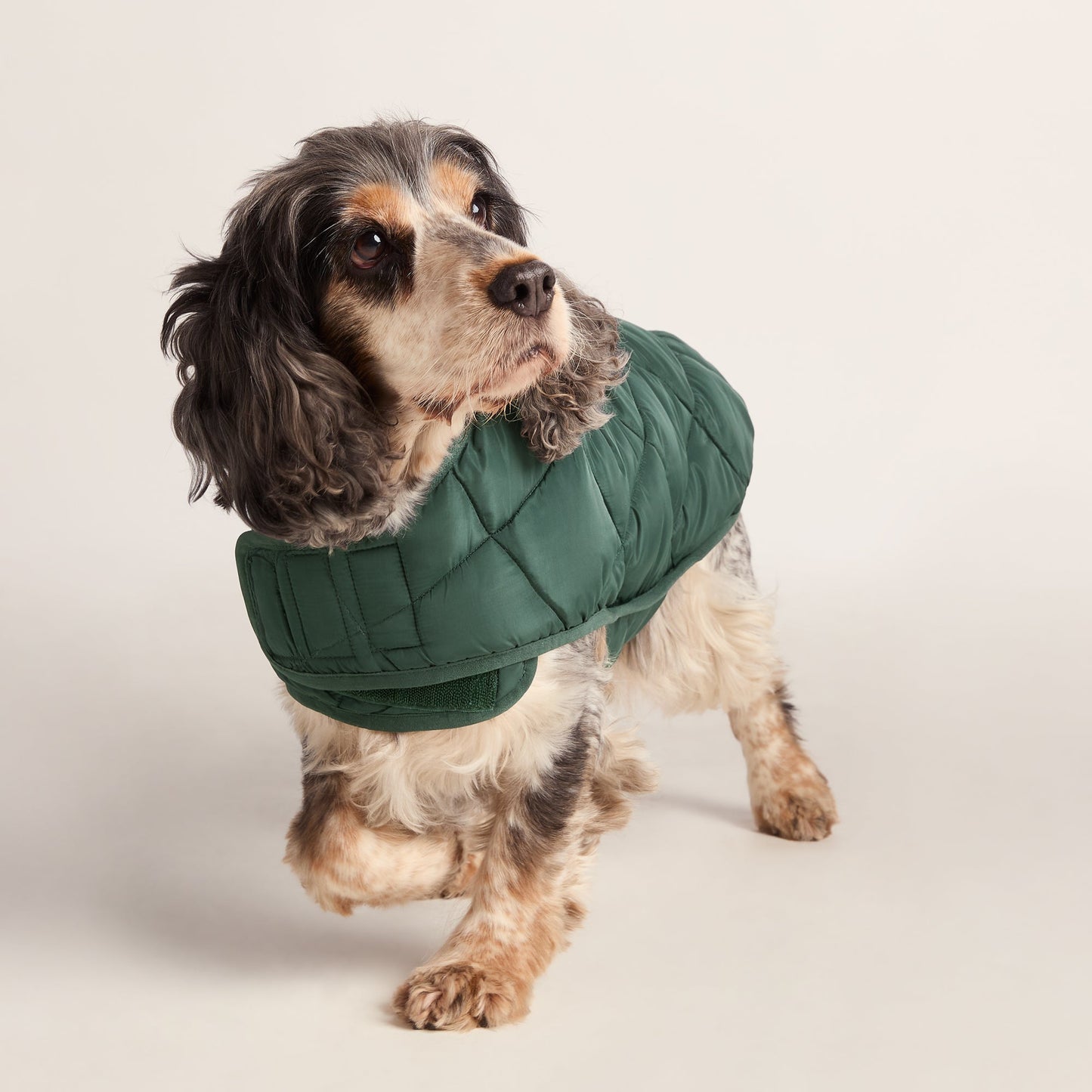 Fido Padded Dog Coat M - Racing Green