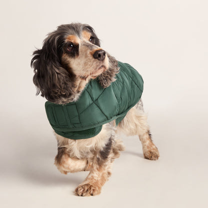 Fido Padded Dog Coat M - Racing Green