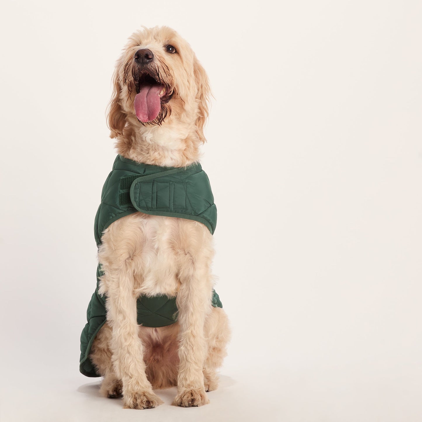 Fido Padded Dog Coat XL - Racing Green