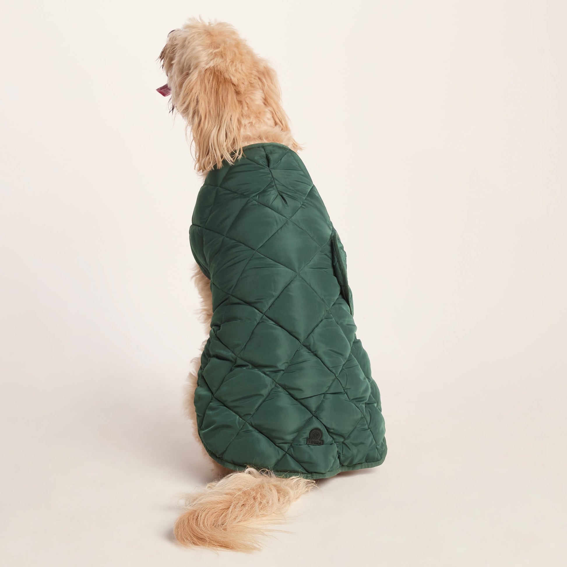 Fido Padded Dog Coat XL - Racing Green
