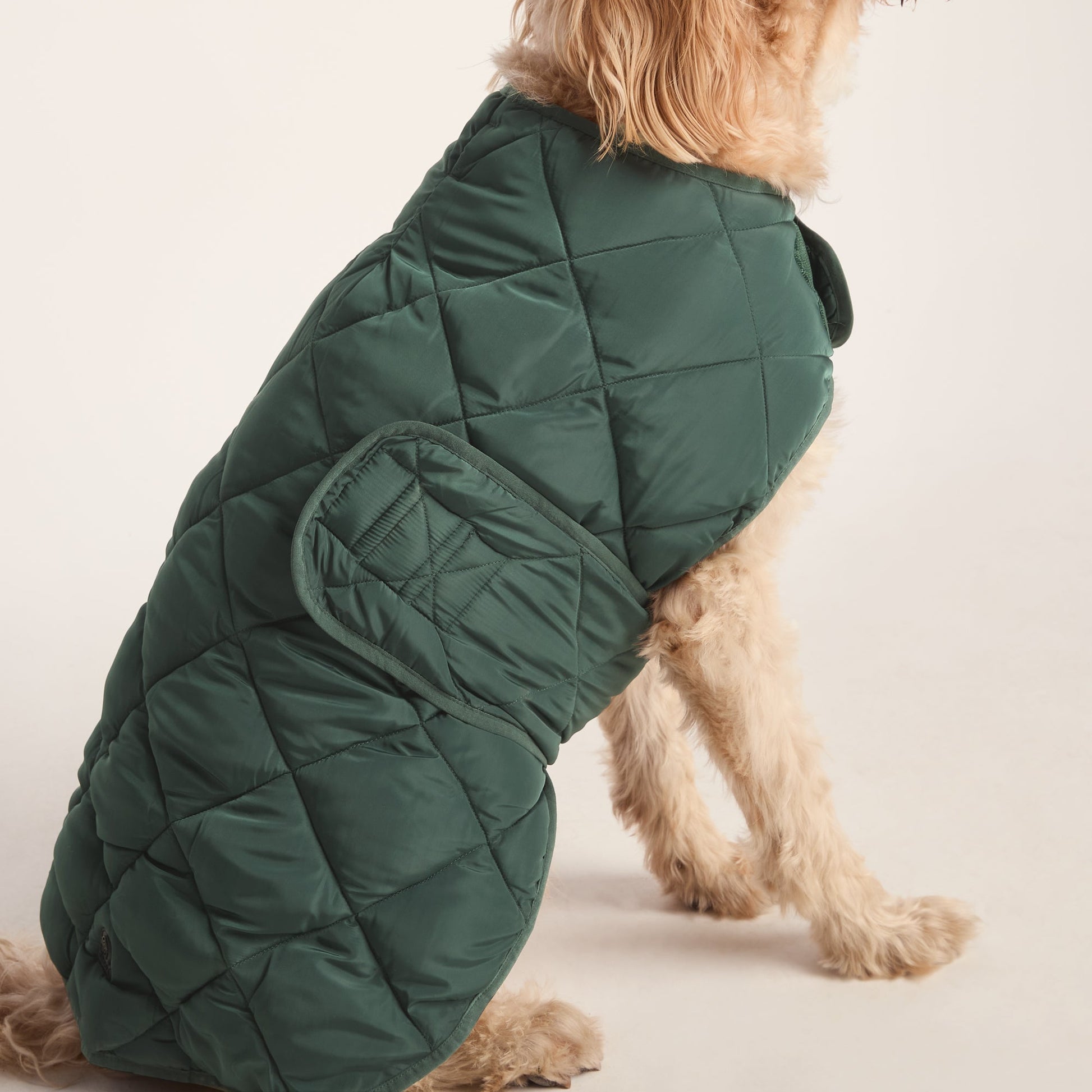 Fido Padded Dog Coat XL - Racing Green