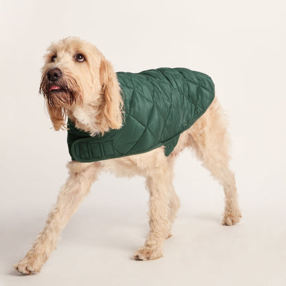 Fido Padded Dog Coat XL - Racing Green