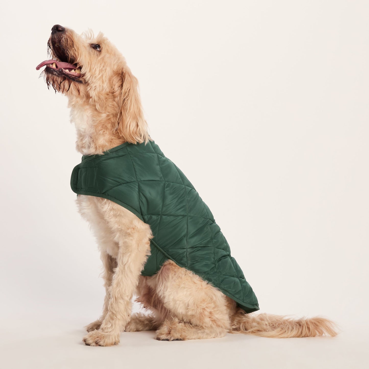 Fido Padded Dog Coat XL - Racing Green