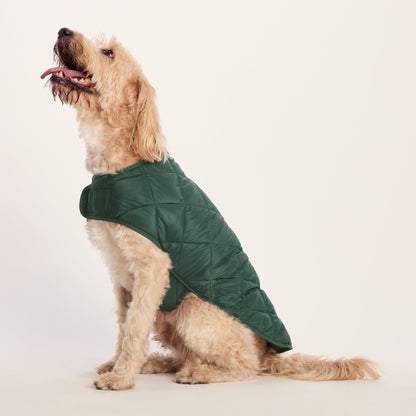 Fido Padded Dog Coat XL - Racing Green