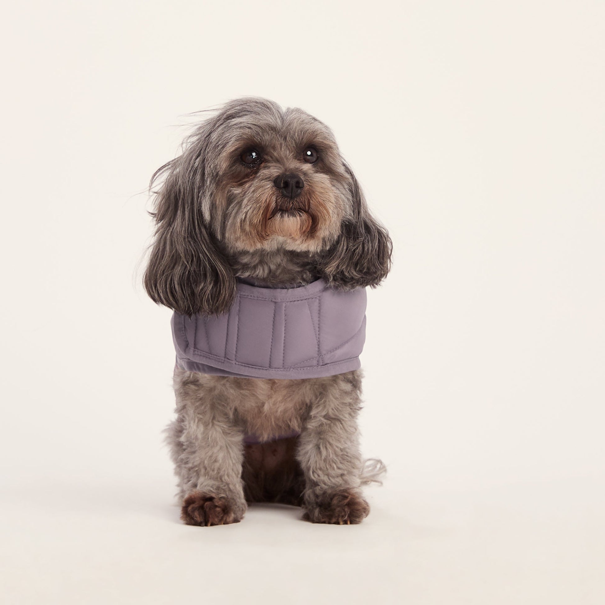 Fido Padded Dog Coat XS - Dusky Lilac