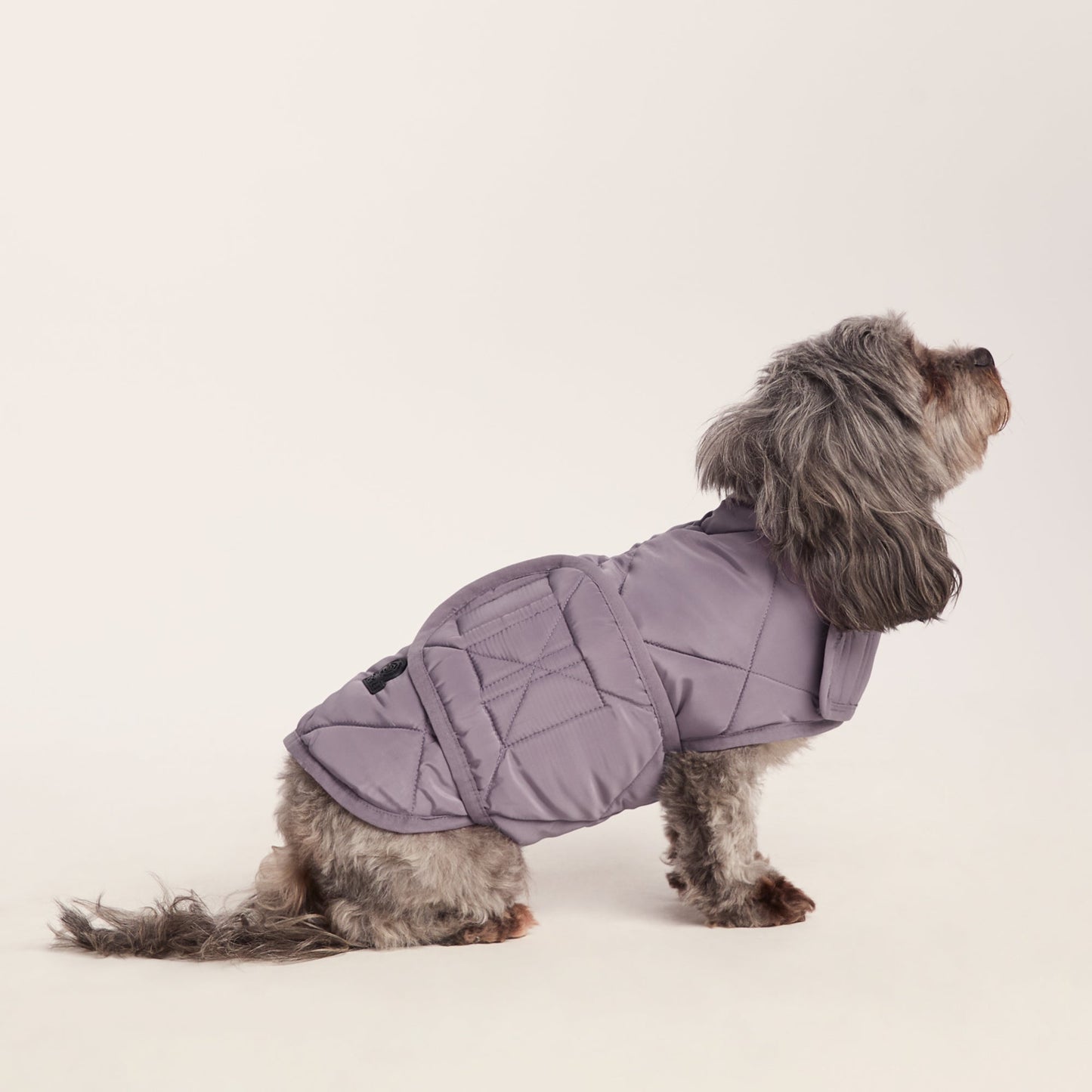 Fido Padded Dog Coat XS - Dusky Lilac