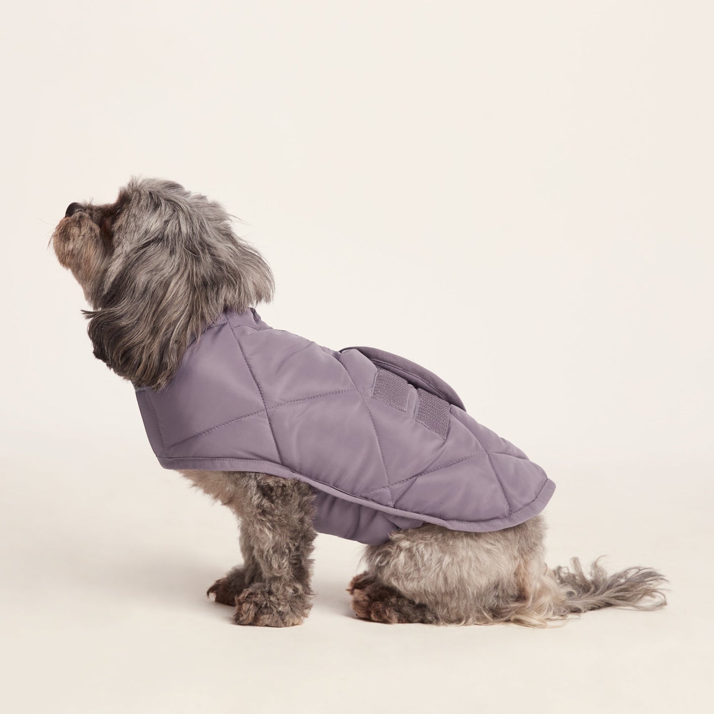 Fido Padded Dog Coat XS - Dusky Lilac