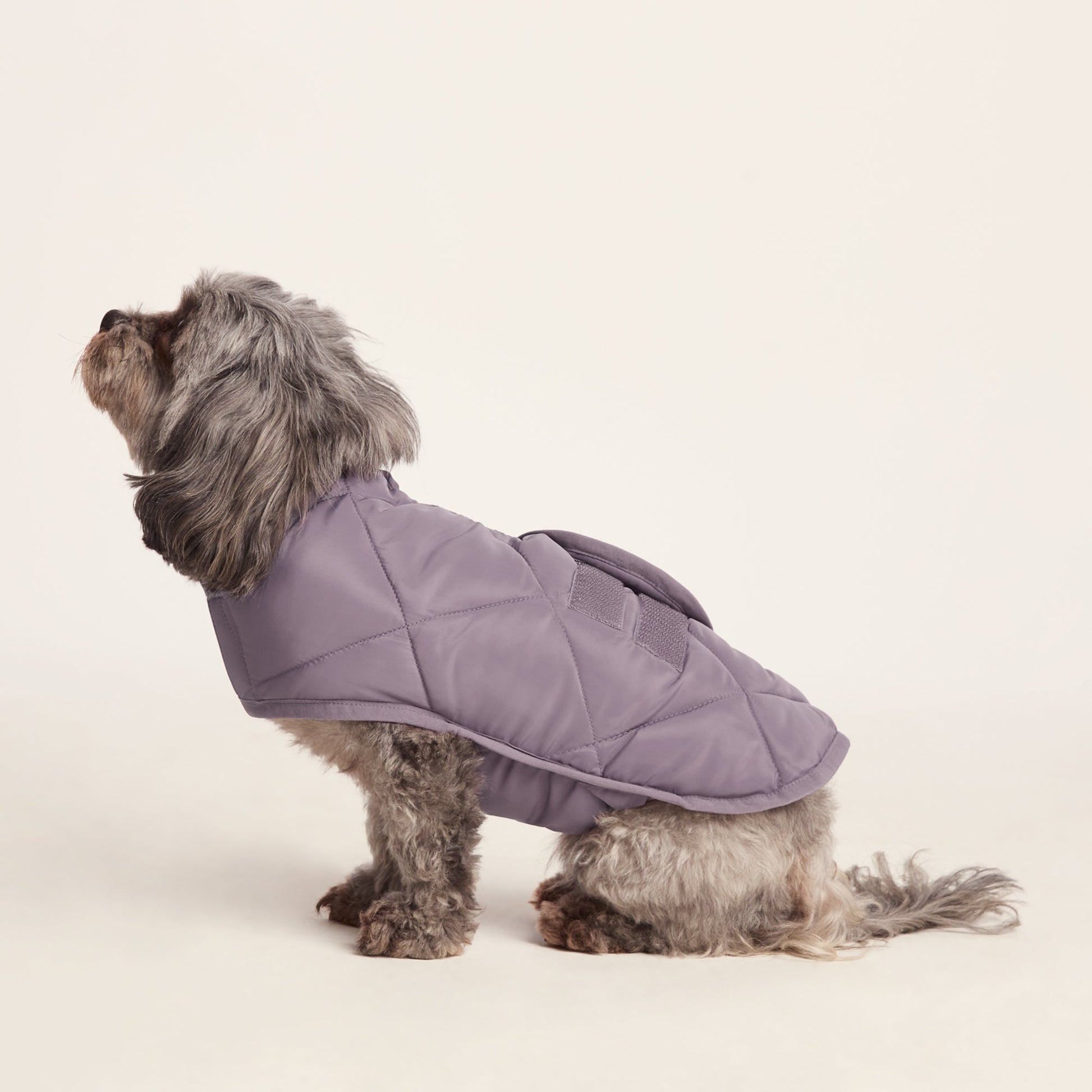 Fido Padded Dog Coat XS - Dusky Lilac