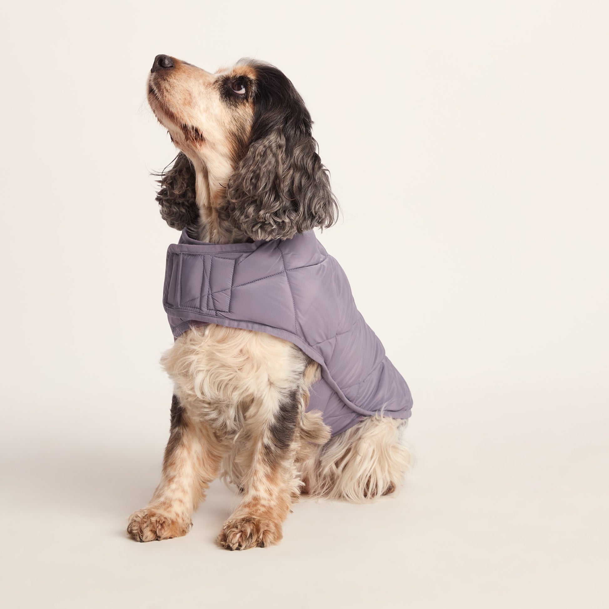 Fido Padded Dog Coat M - Dusky Lilac