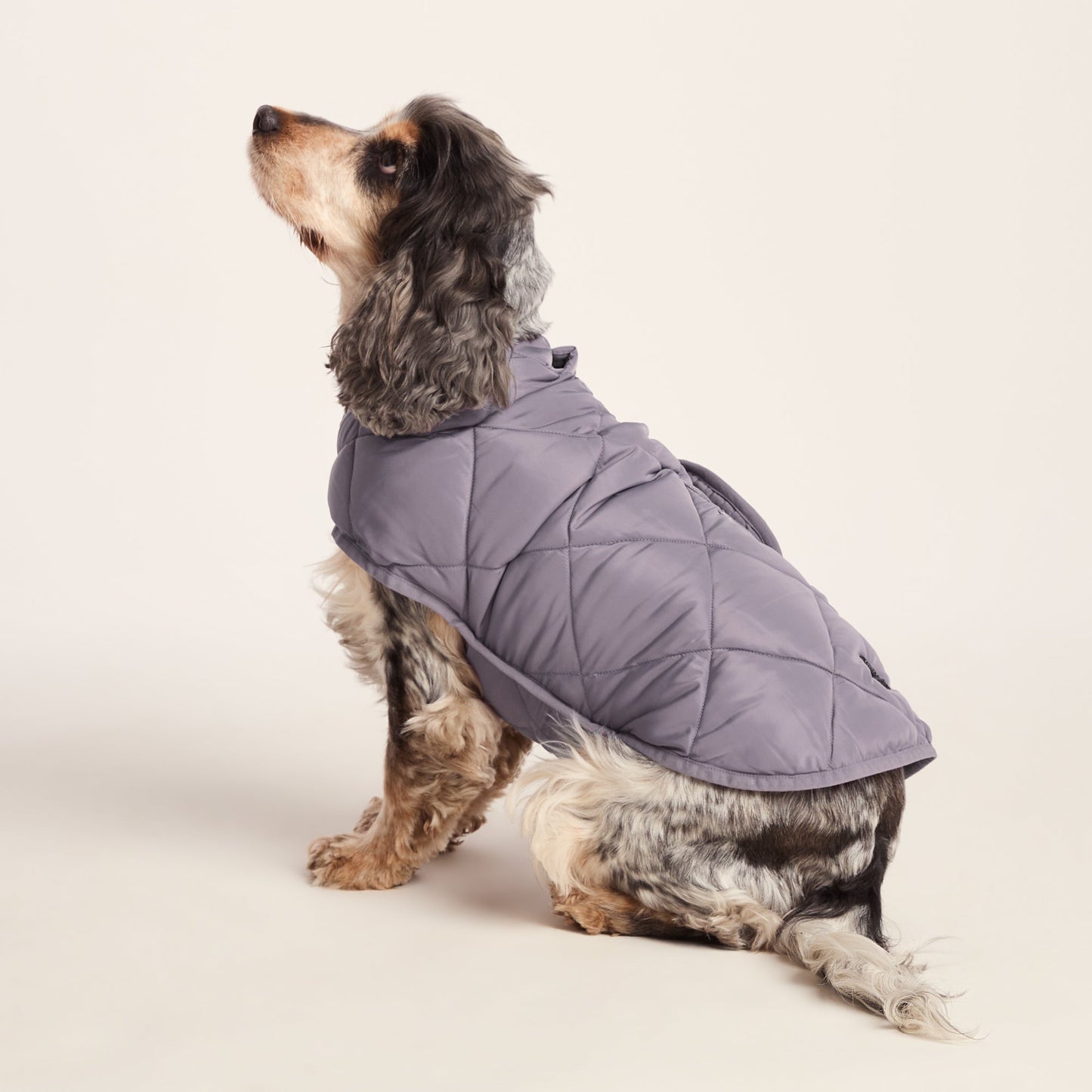 Fido Padded Dog Coat M - Dusky Lilac