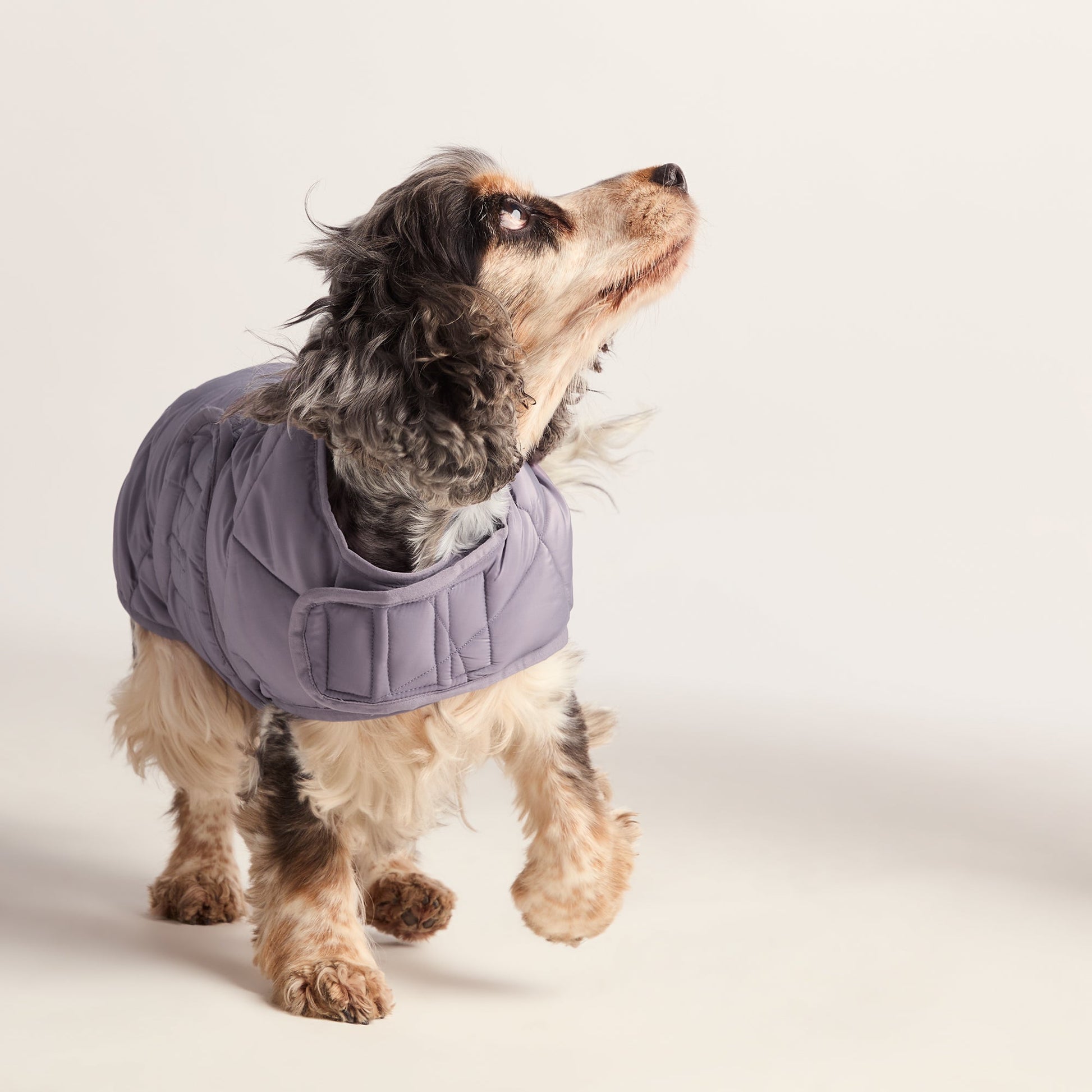 Fido Padded Dog Coat M - Dusky Lilac