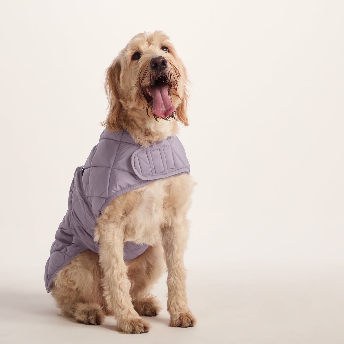 Fido Padded Dog Coat XL - Dusky Lilac