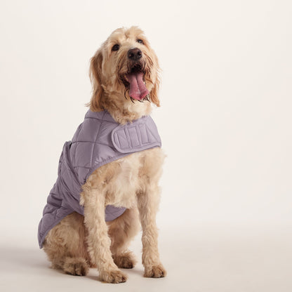 Fido Padded Dog Coat XL - Dusky Lilac