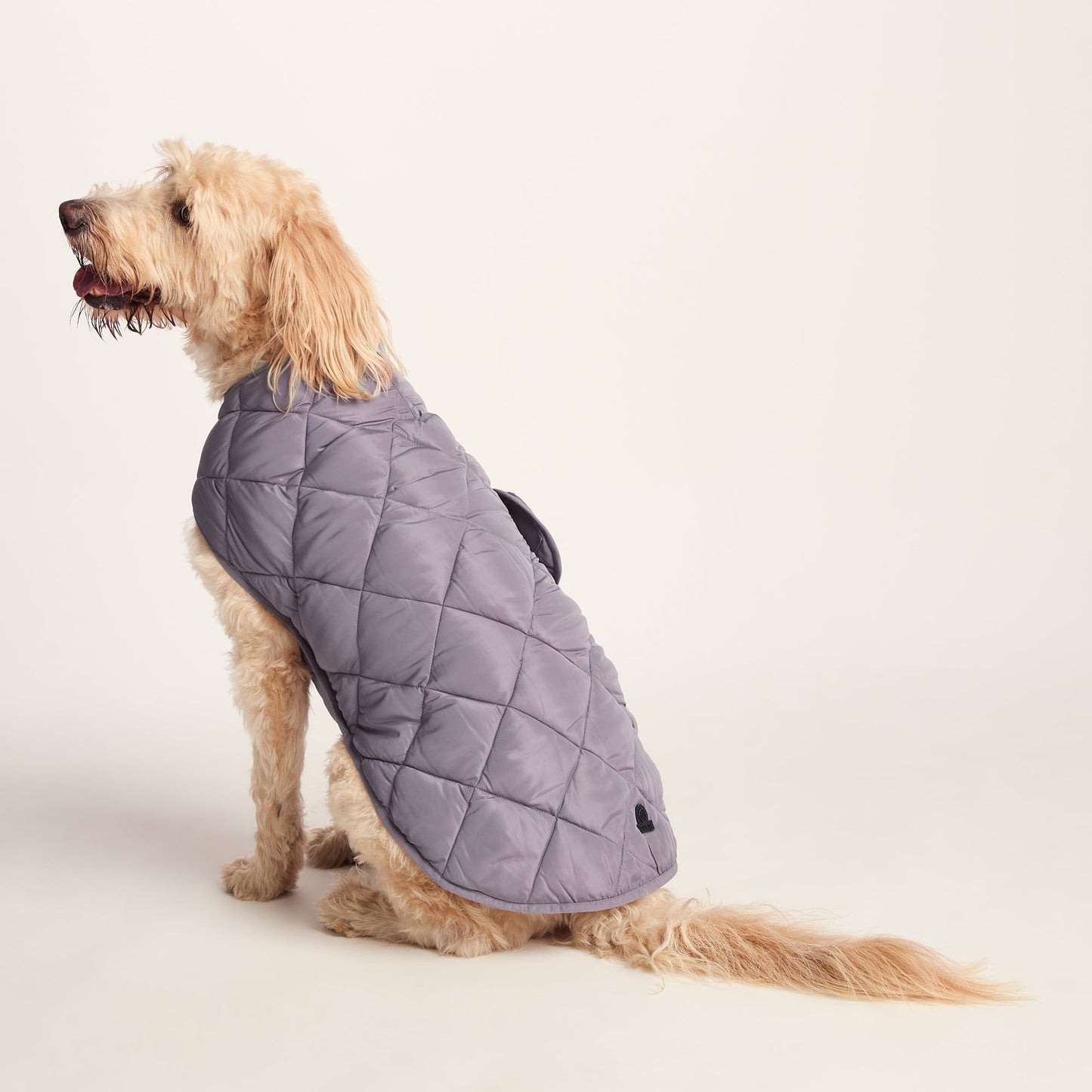 Fido Padded Dog Coat XL - Dusky Lilac