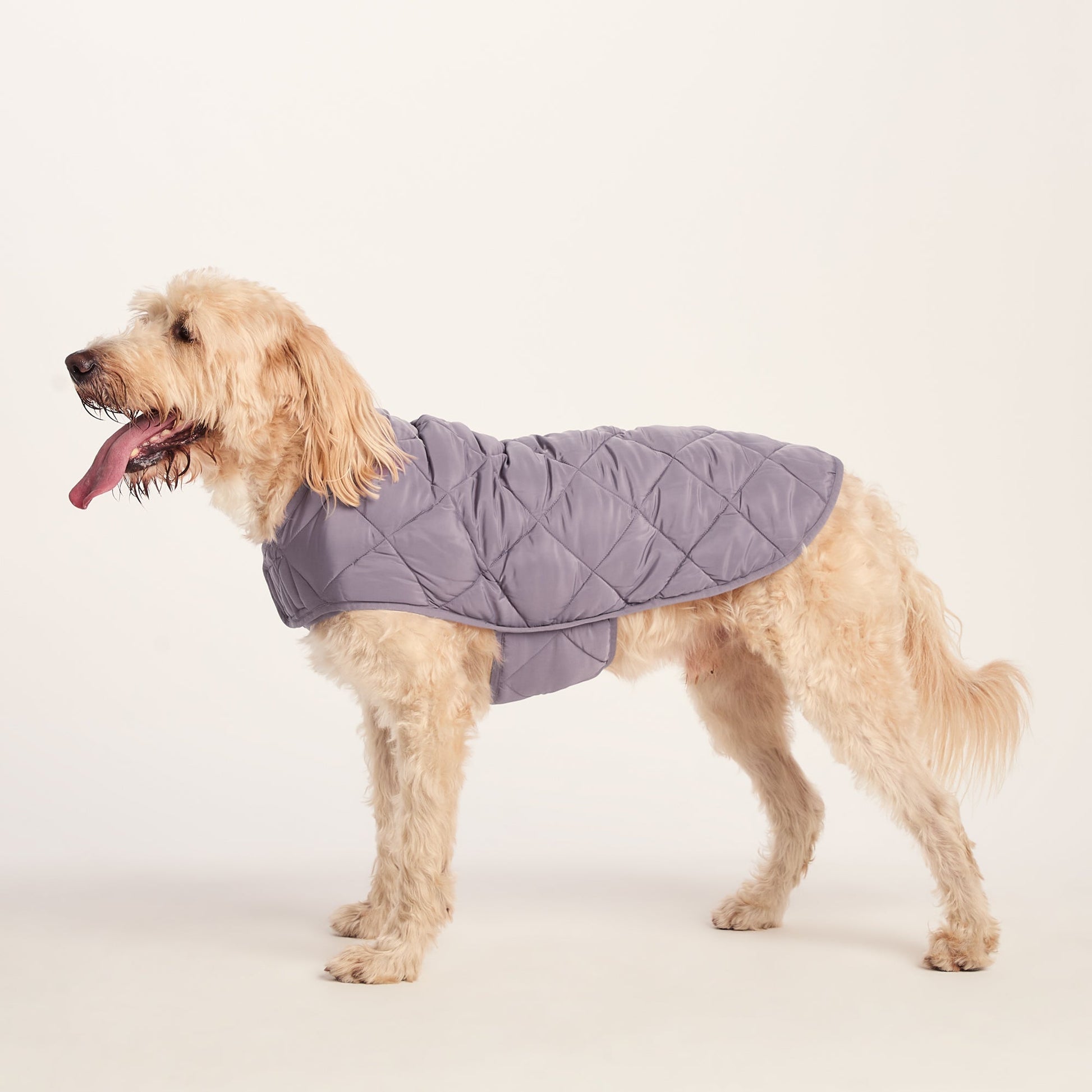 Fido Padded Dog Coat XL - Dusky Lilac