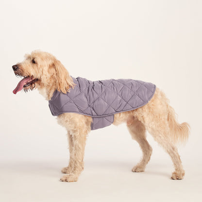 Fido Padded Dog Coat XL - Dusky Lilac