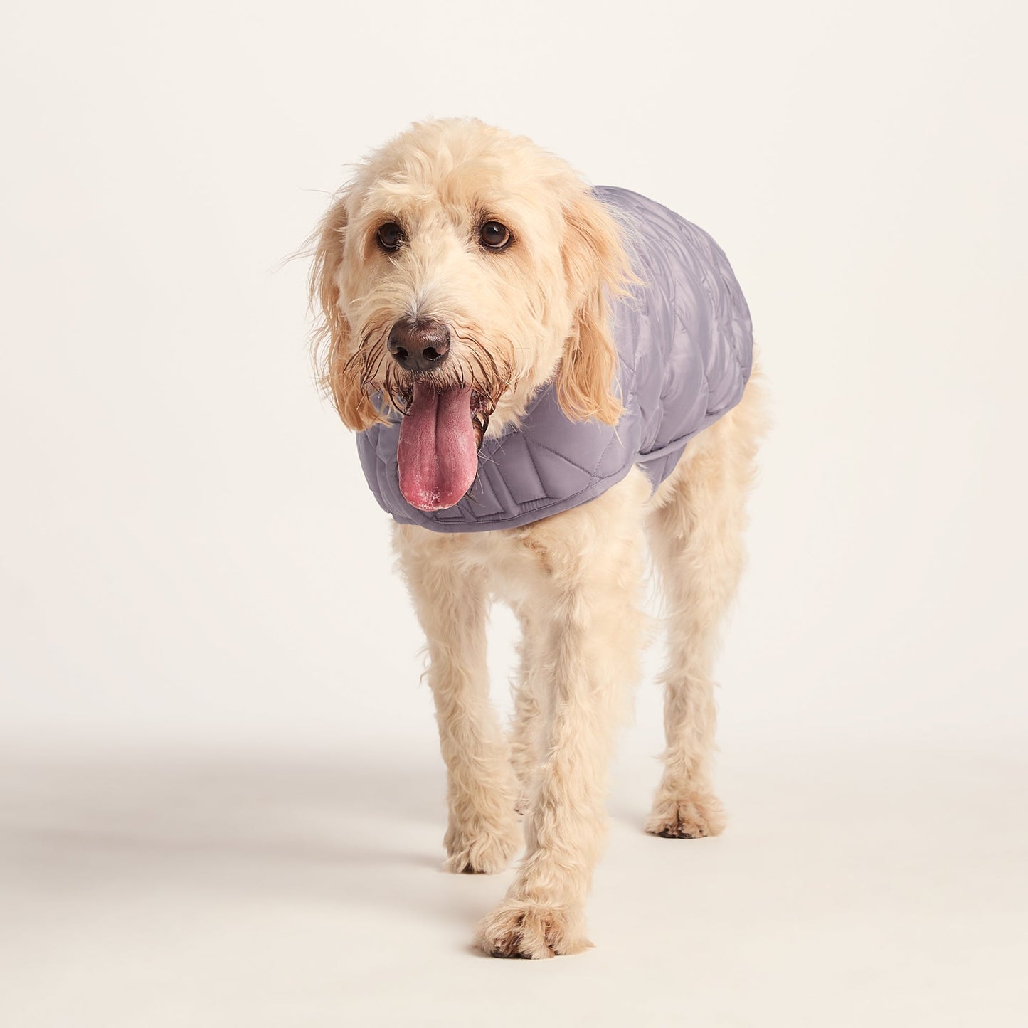 Fido Padded Dog Coat XL - Dusky Lilac