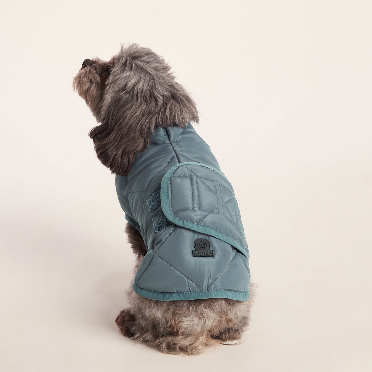 Fido Padded Dog Coat XS - Graphite