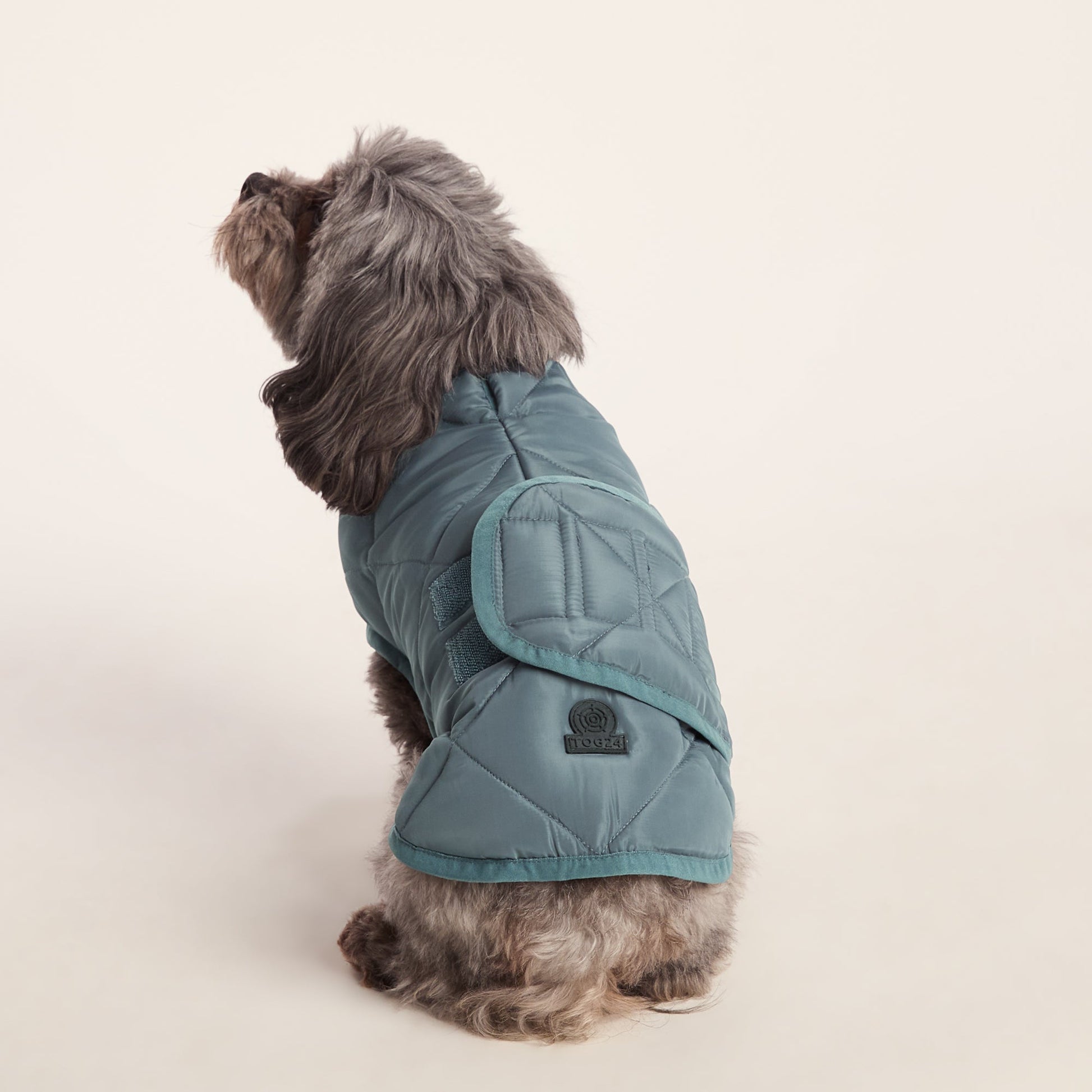 Fido Padded Dog Coat XS - Graphite
