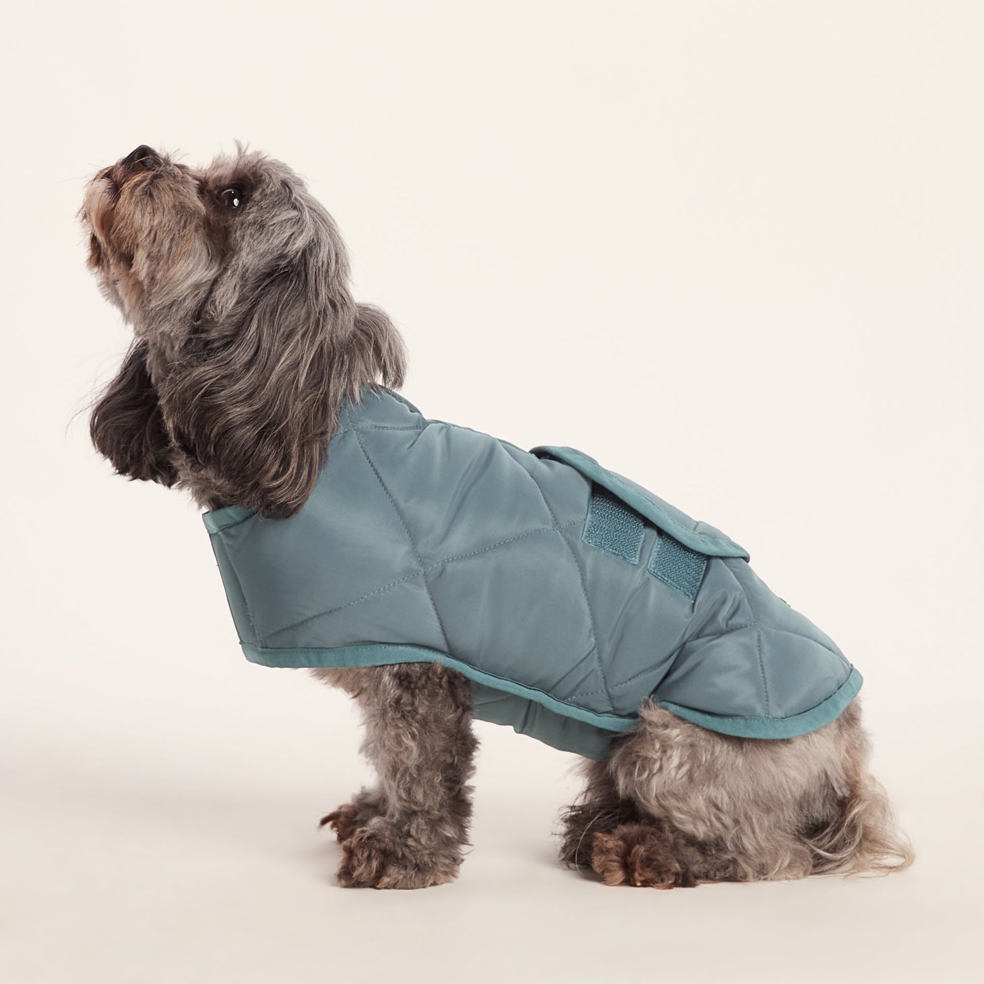 Fido Padded Dog Coat XS - Graphite