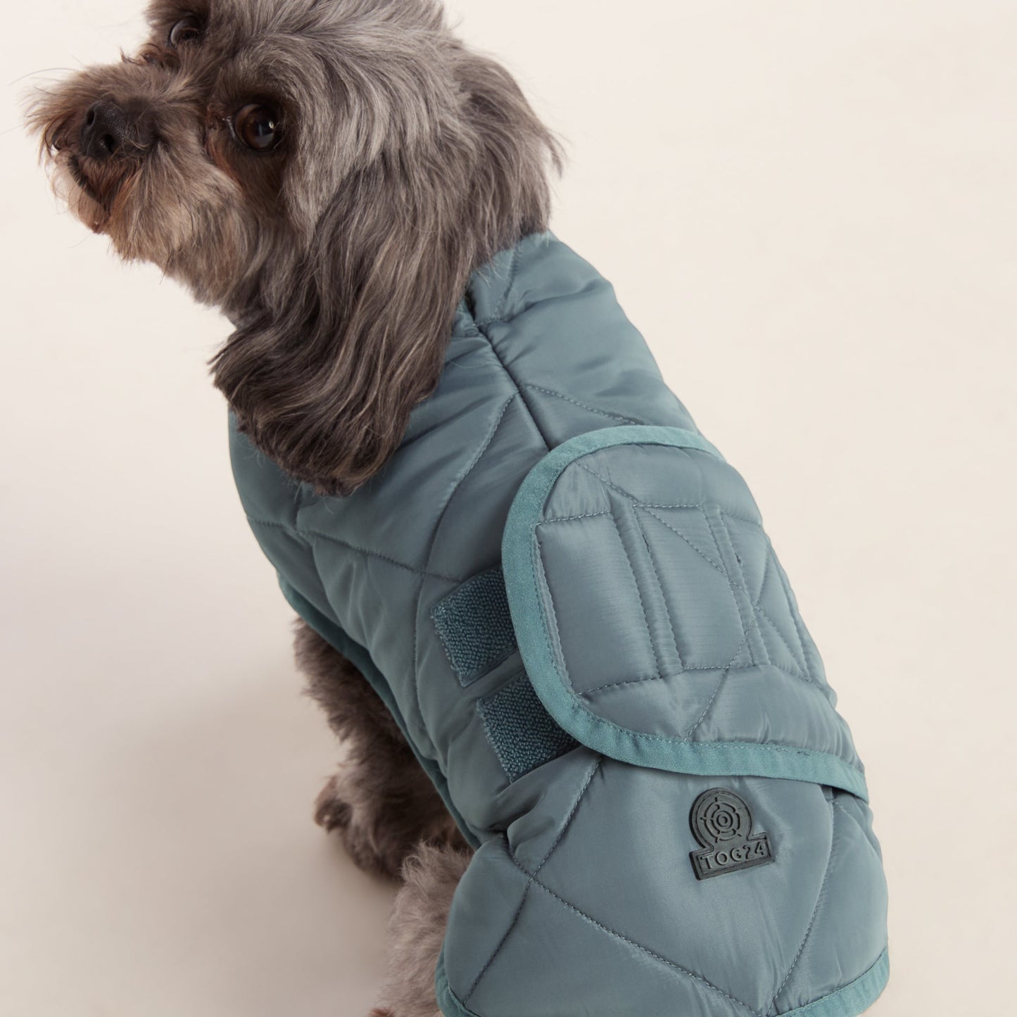 Fido Padded Dog Coat XS - Graphite