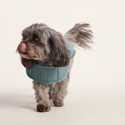 Fido Padded Dog Coat XS - Graphite