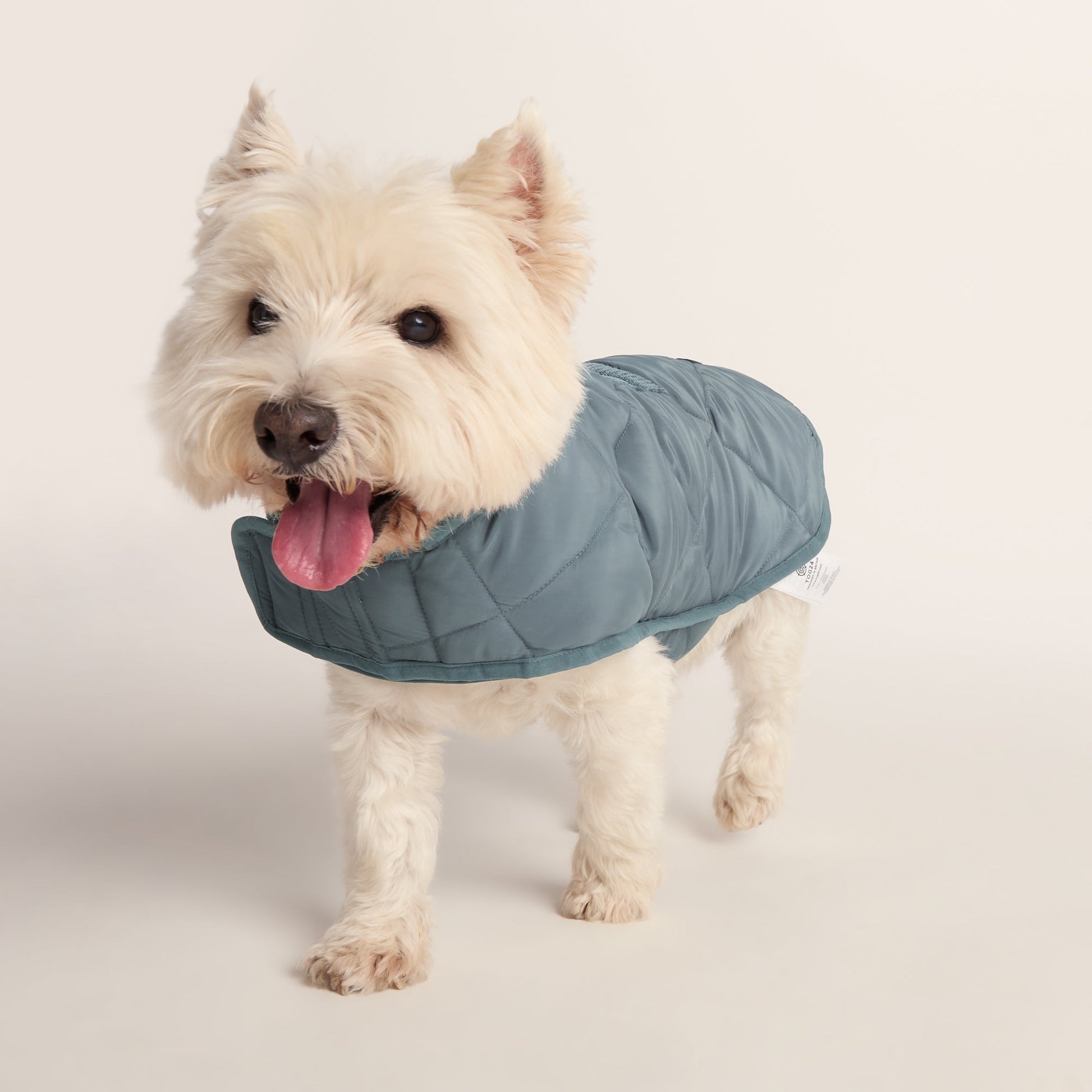 Fido Padded Dog Coat S - Graphite