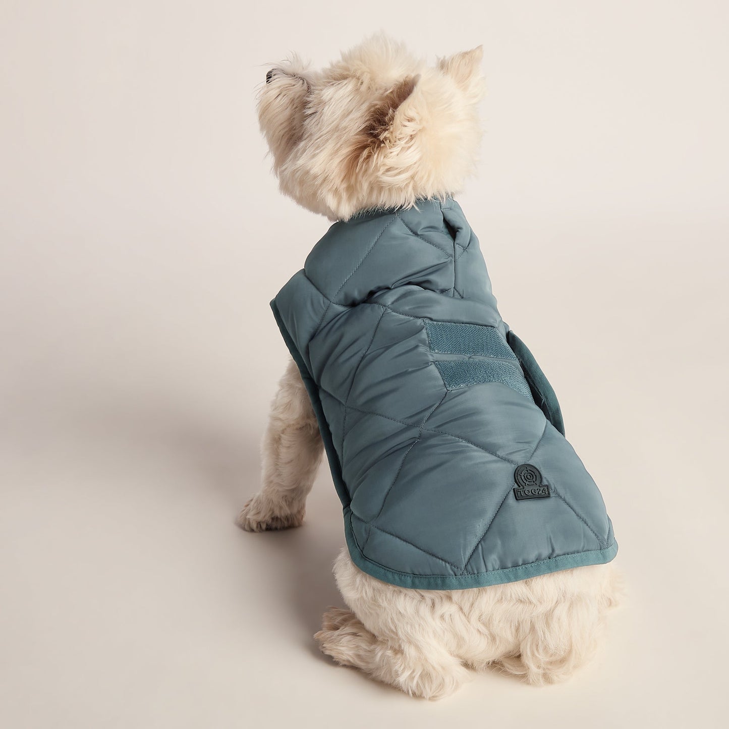 Fido Padded Dog Coat S - Graphite