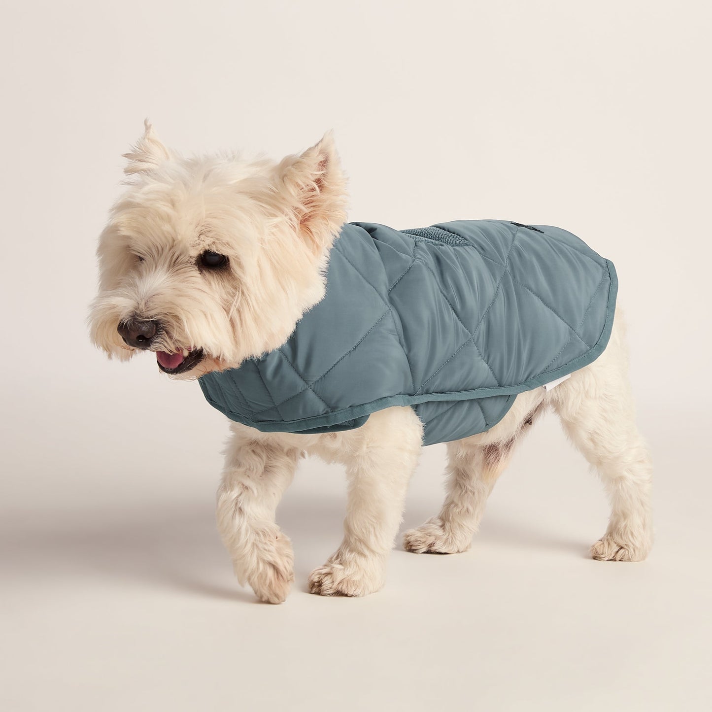 Fido Padded Dog Coat S - Graphite