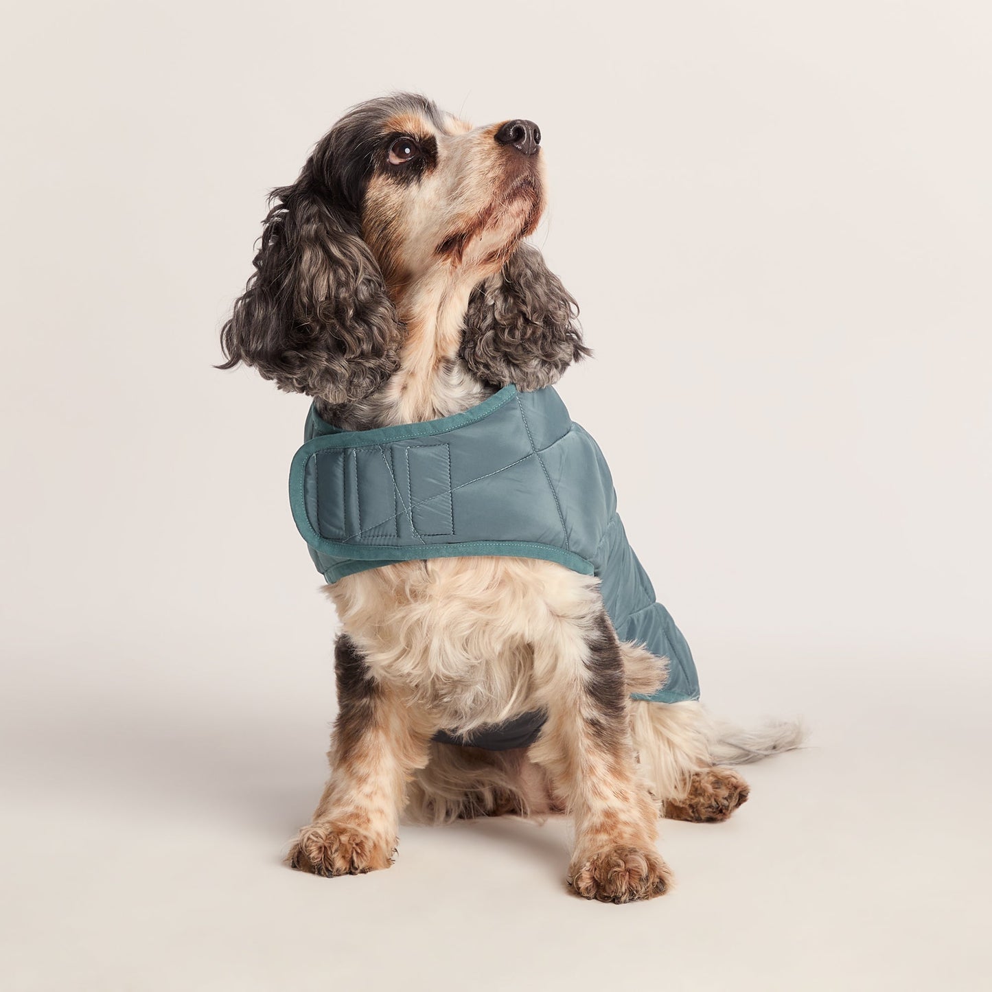 Fido Padded Dog Coat M - Graphite