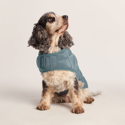 Fido Padded Dog Coat M - Graphite