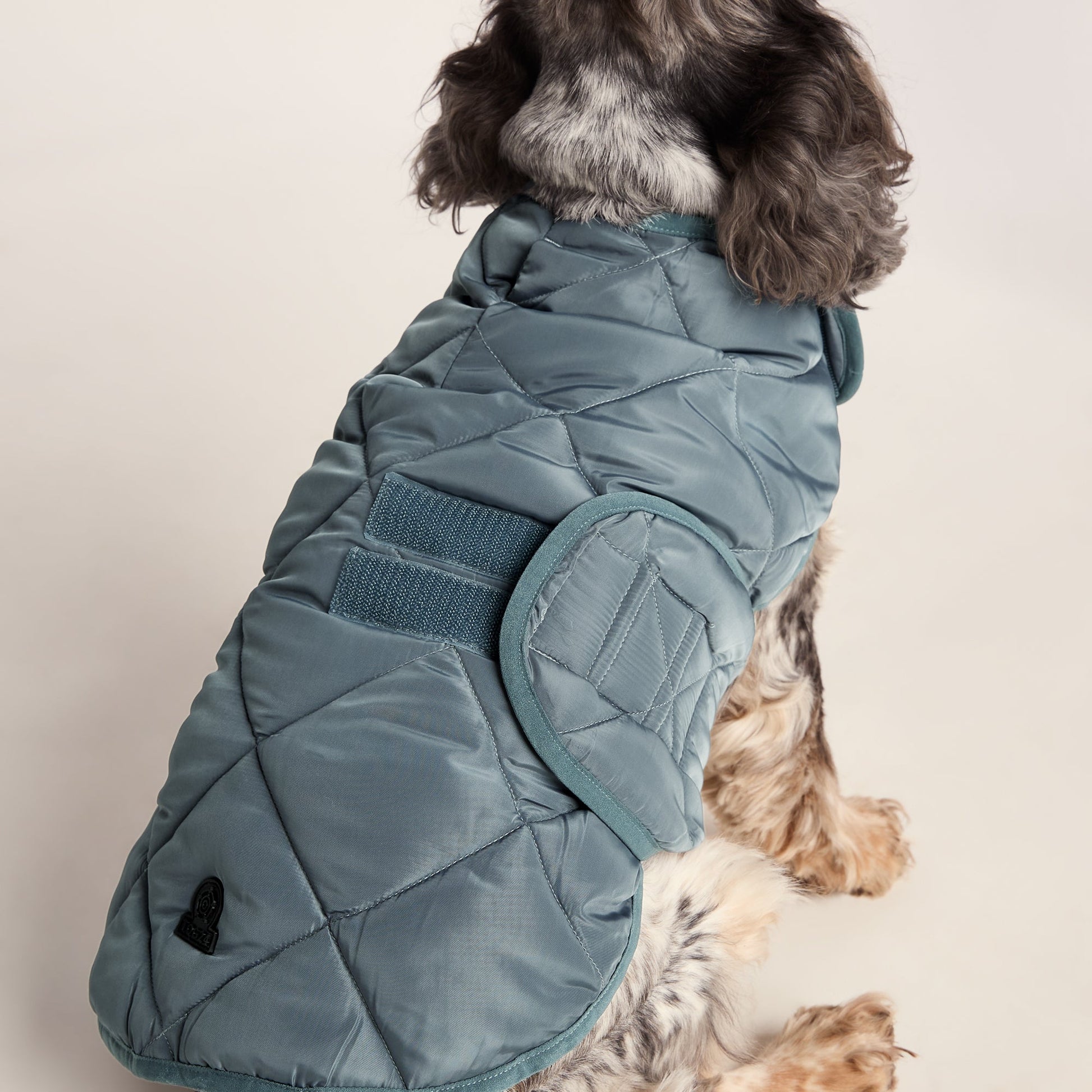 Fido Padded Dog Coat M - Graphite