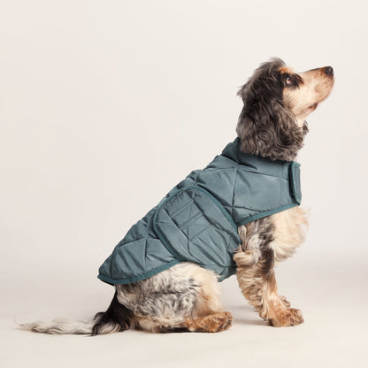 Fido Padded Dog Coat M - Graphite