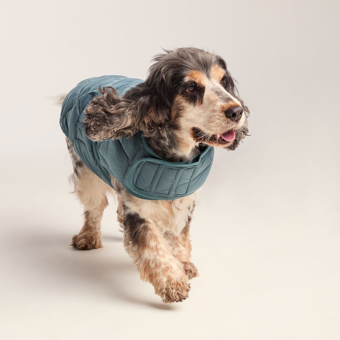 Fido Padded Dog Coat M - Graphite