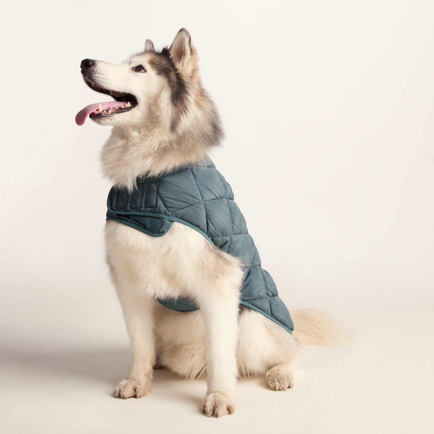 Fido Padded Dog Coat L - Graphite