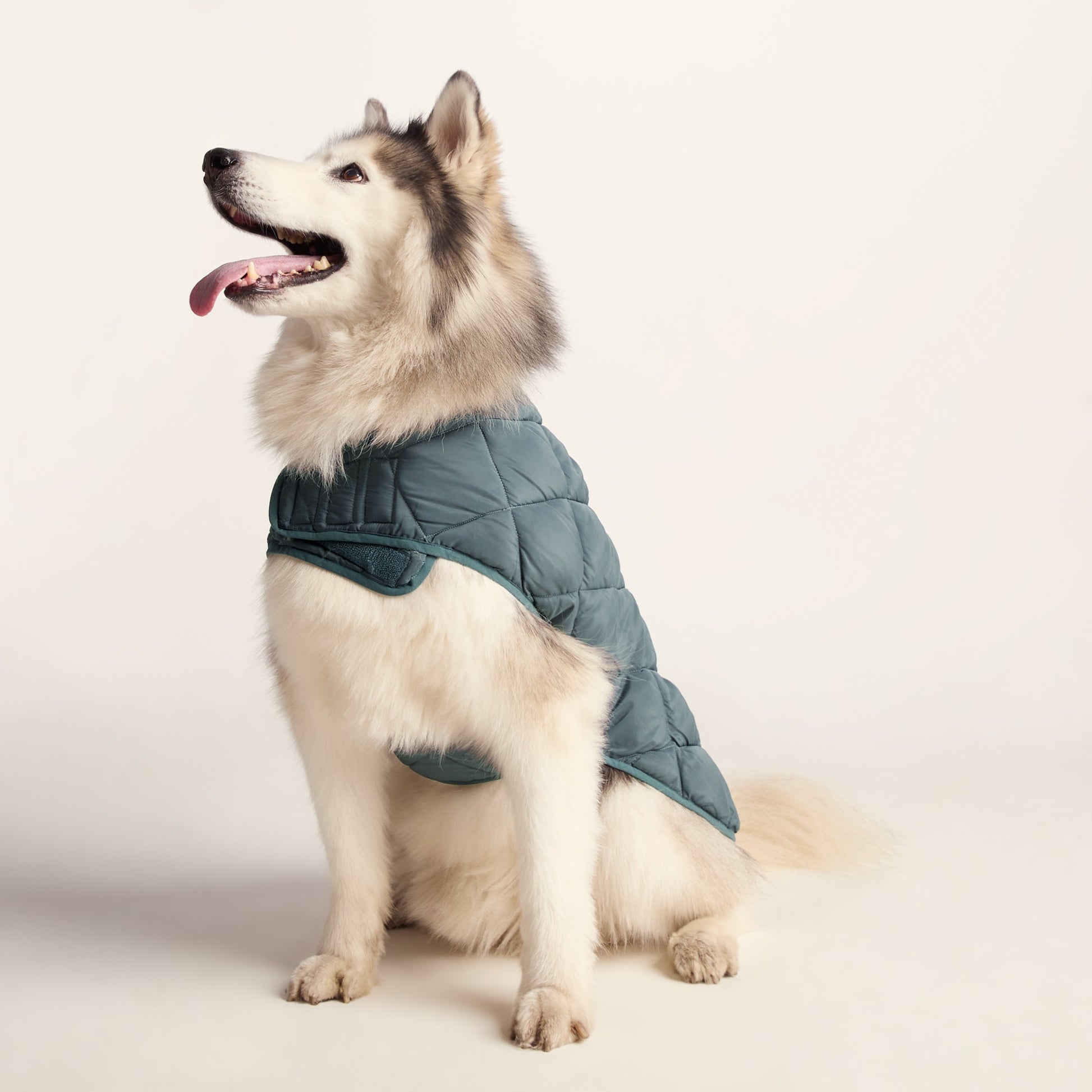 Fido Padded Dog Coat L - Graphite