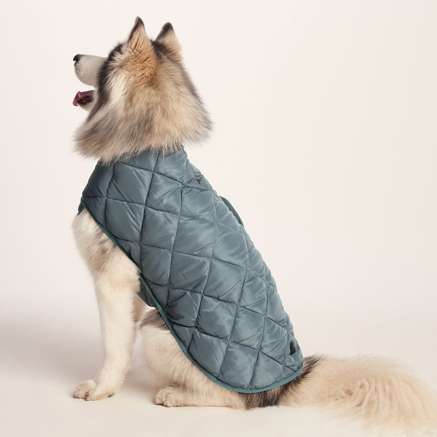Fido Padded Dog Coat L - Graphite