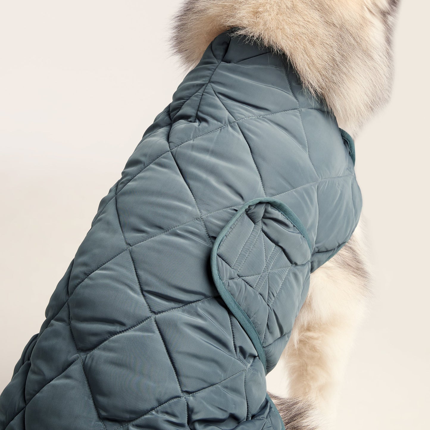 Fido Padded Dog Coat L - Graphite