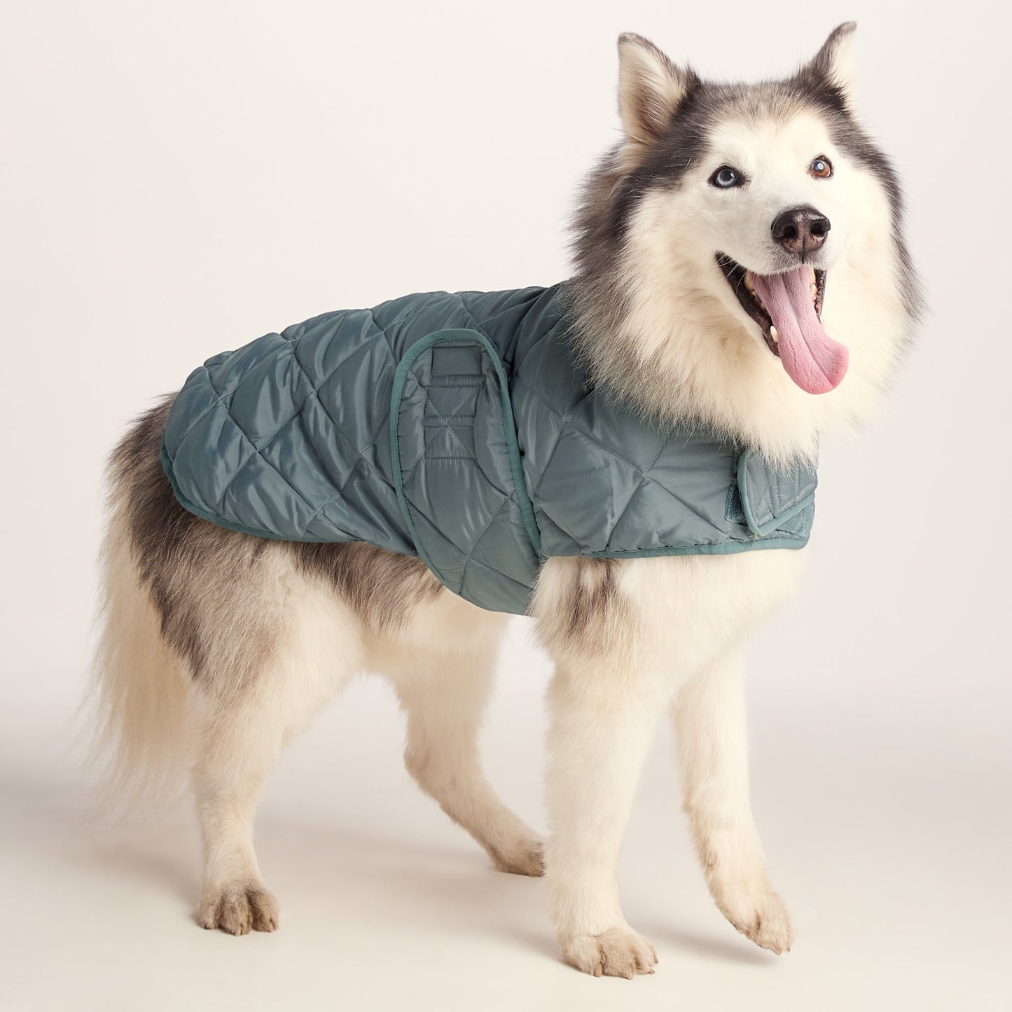Fido Padded Dog Coat L - Graphite