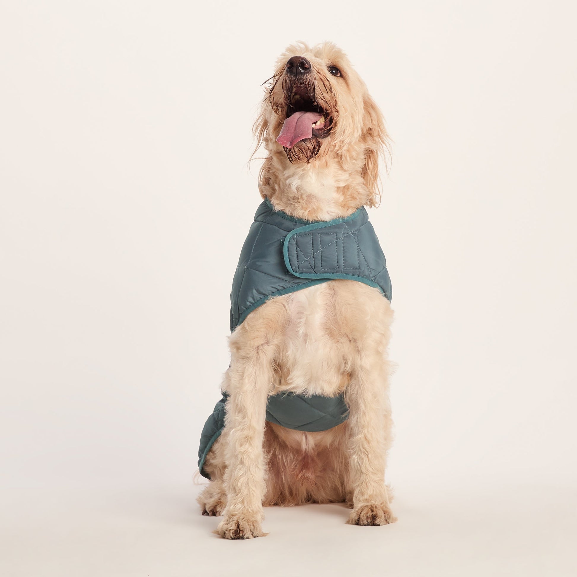 Fido Padded Dog Coat XL - Graphite
