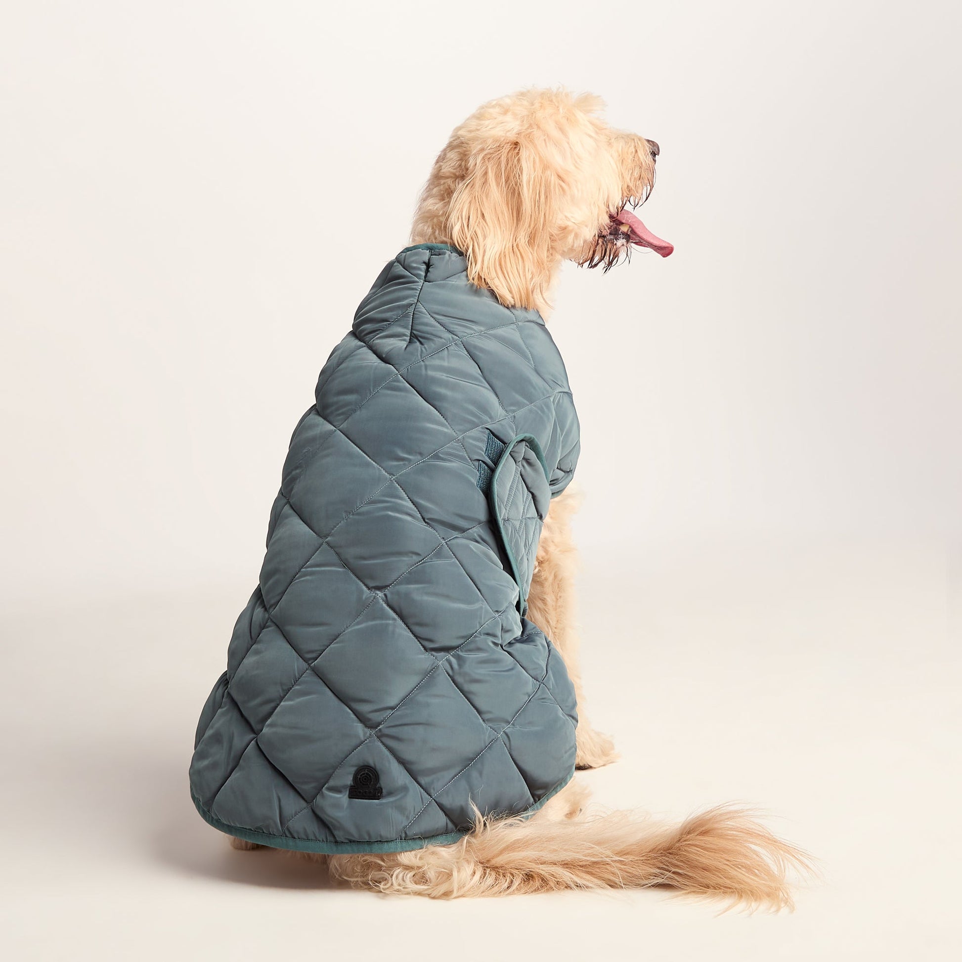 Fido Padded Dog Coat XL - Graphite