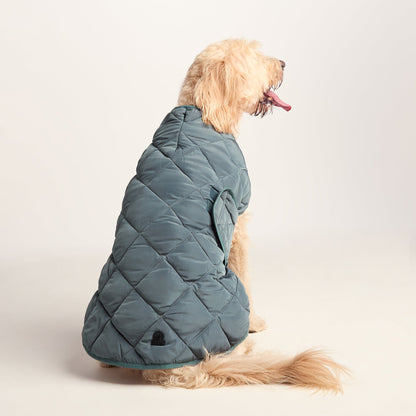 Fido Padded Dog Coat XL - Graphite