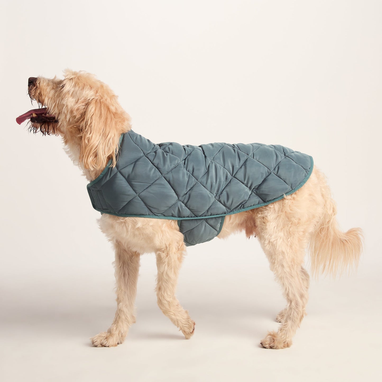 Fido Padded Dog Coat XL - Graphite