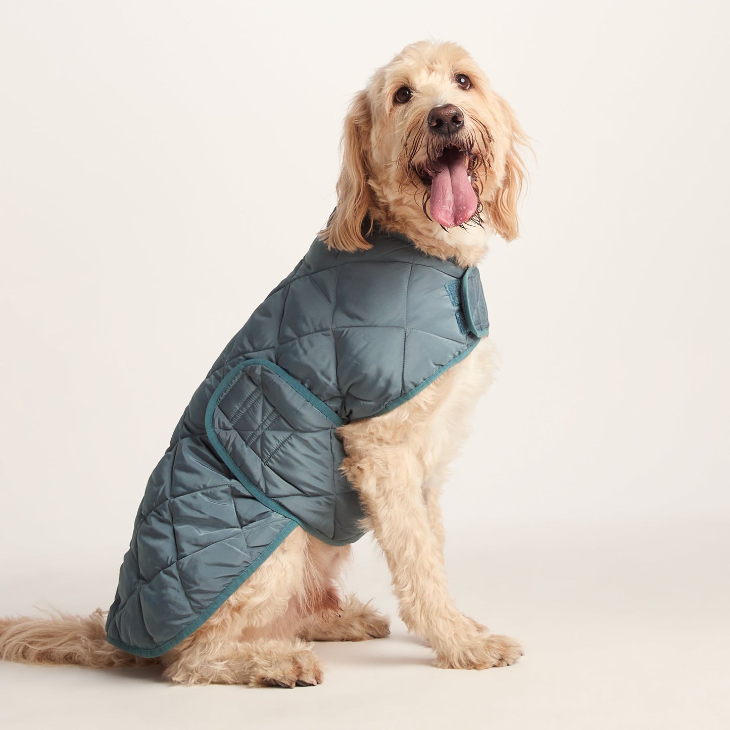 Fido Padded Dog Coat XL - Graphite