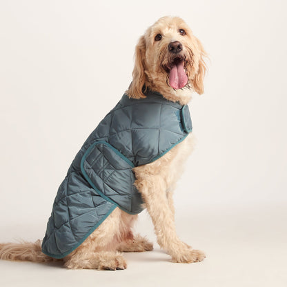 Fido Padded Dog Coat XL - Graphite