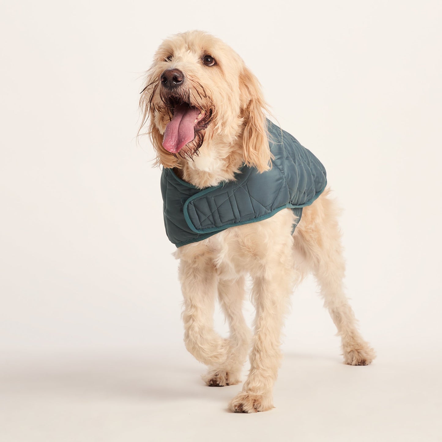 Fido Padded Dog Coat XL - Graphite