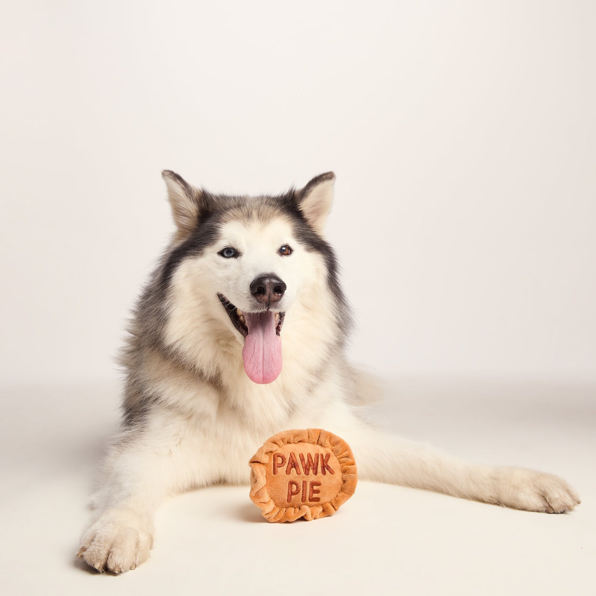Pawk Pie Dog Plush Toy - Brown