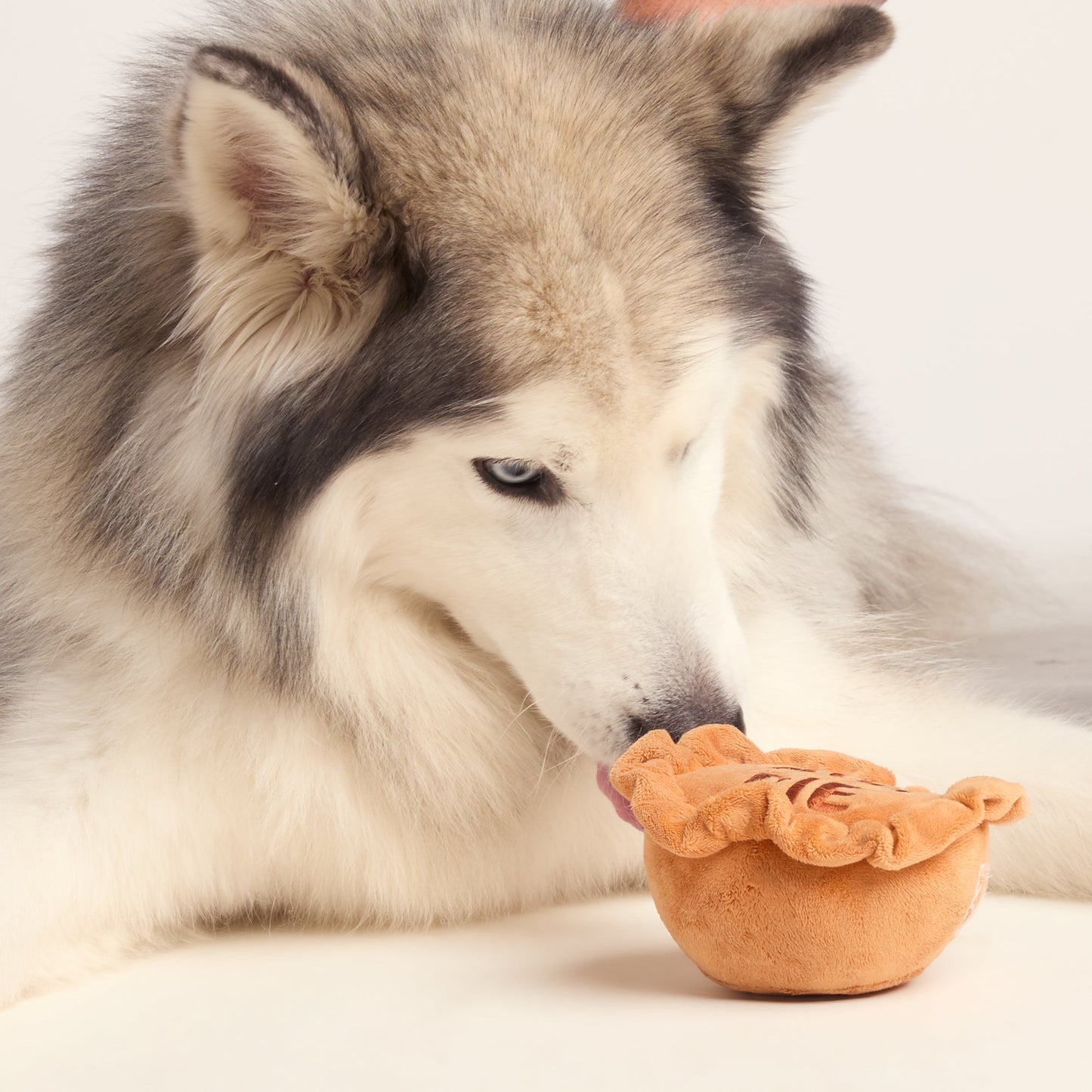 Pawk Pie Dog Plush Toy - Brown